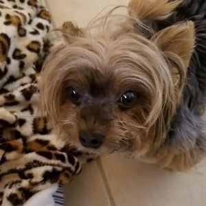 Meet your Posher, Janis jeffery